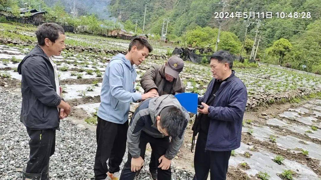 贡山县开展2024年中央耕地地力保护补贴面积抽查核实工作