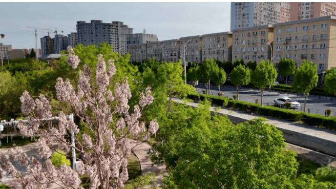 🌸影视风云【澳门天天开彩好正版挂牌】_一线城市需求旺 AR和VR受追捧