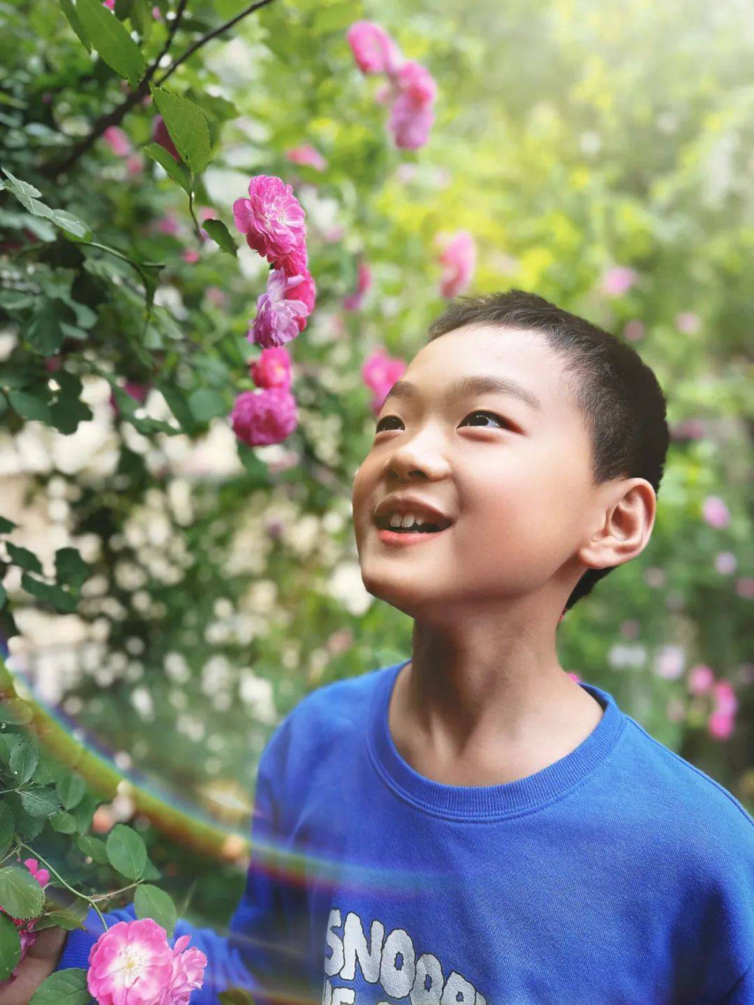 第246期作文小达人评选来了,快来投票!