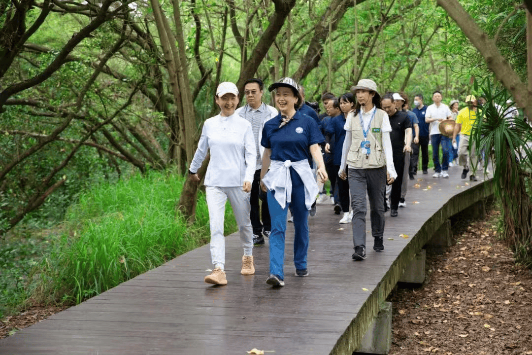 成员们在福田红树林自然保护区了解了红树林湿地生态系统在减排低碳