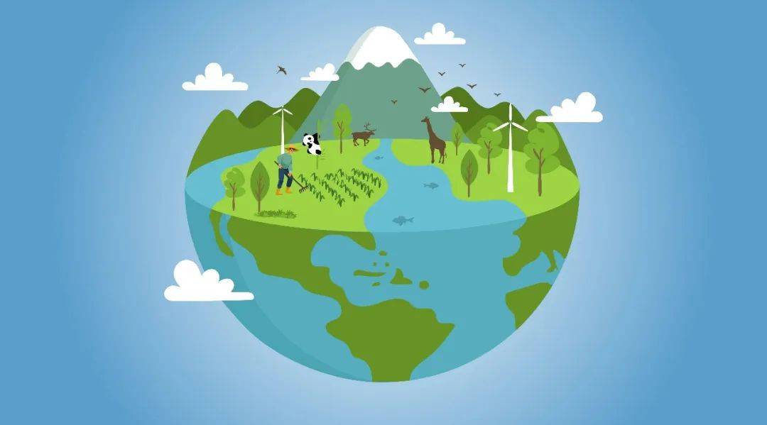 守护地球,探秘自然——自然 音乐研学活动在凤凰山保护区展开