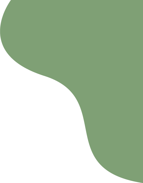 【梅郎创优】勤耕不缀,追梦不止——五(8)班的创优故事