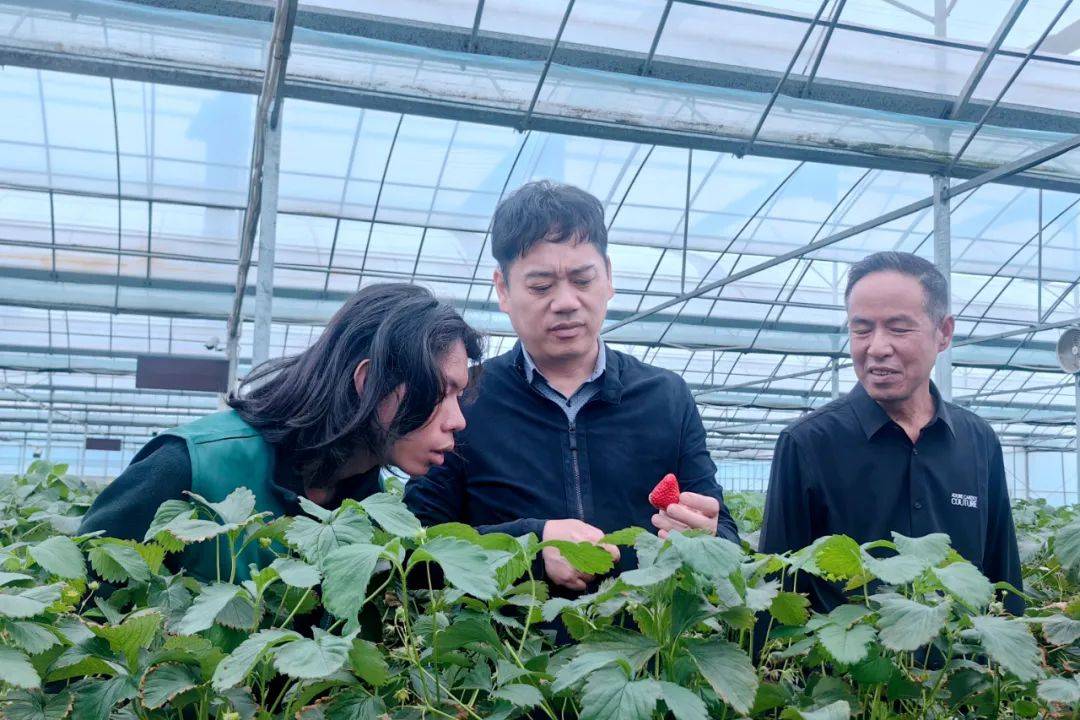 那一方园林,安放了他儿时的梦_周斌_全国_台州市