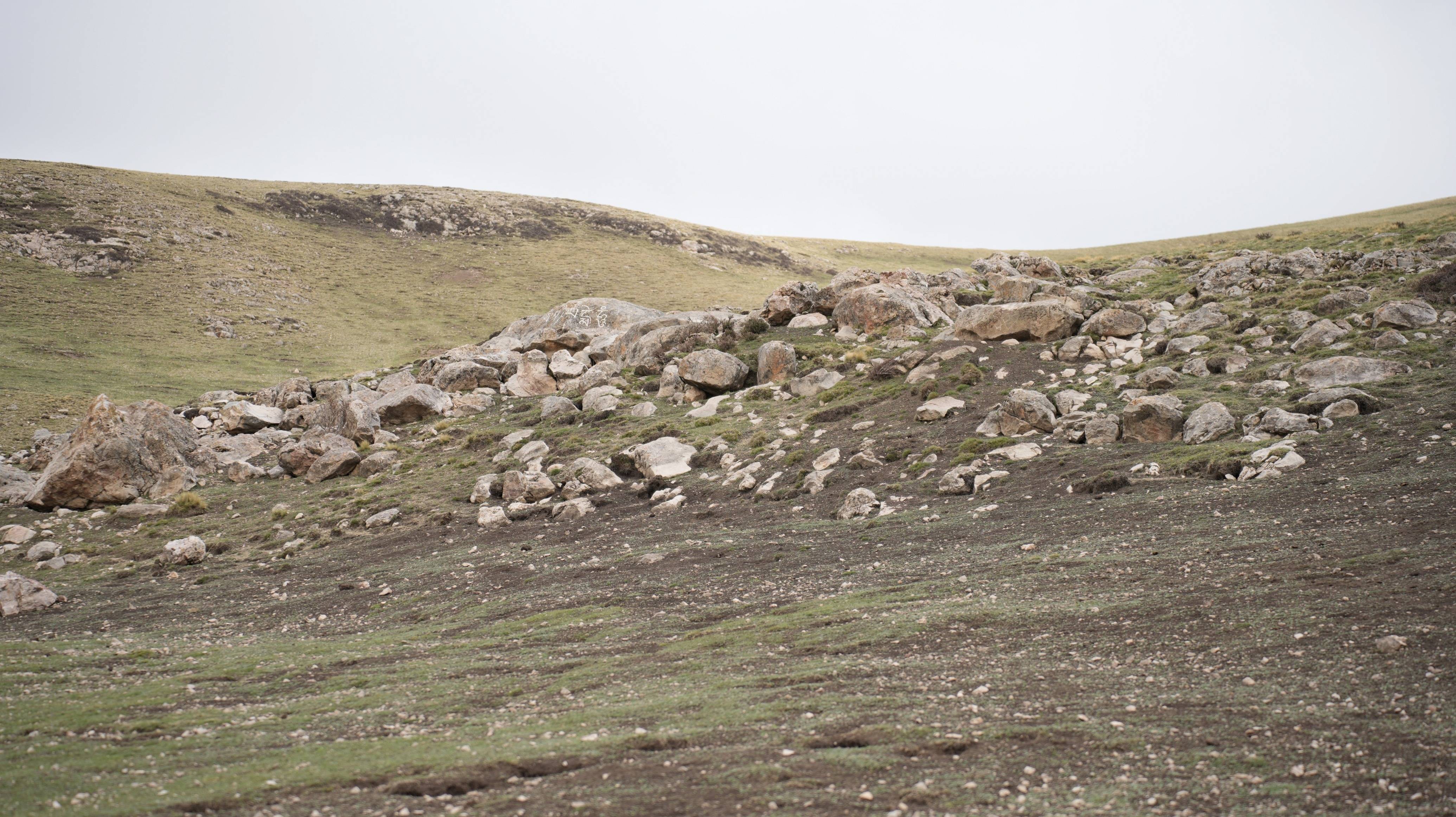 黑土滩是高原高寒草甸独有的生态恶化现象,是多种因素共同作用形成的