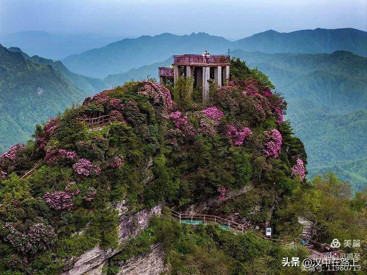 香炉山杜鹃花开正盛,去过的汉中人都被震撼了!_山顶_风景区_山风
