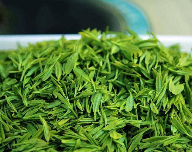 你有"嚼茶叶"的习惯吗?医生提示:坚持嚼绿茶,能预防3种疾病