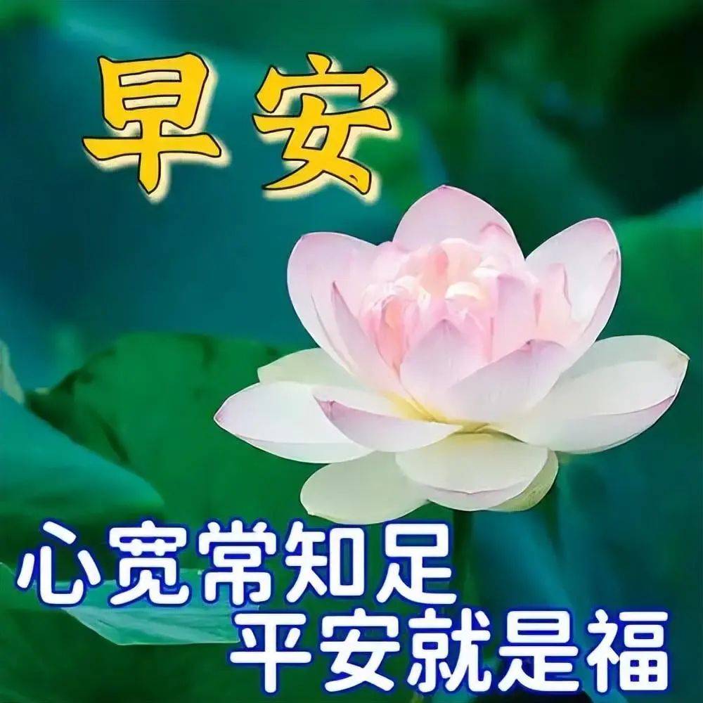 早上好纯文字加表情图片