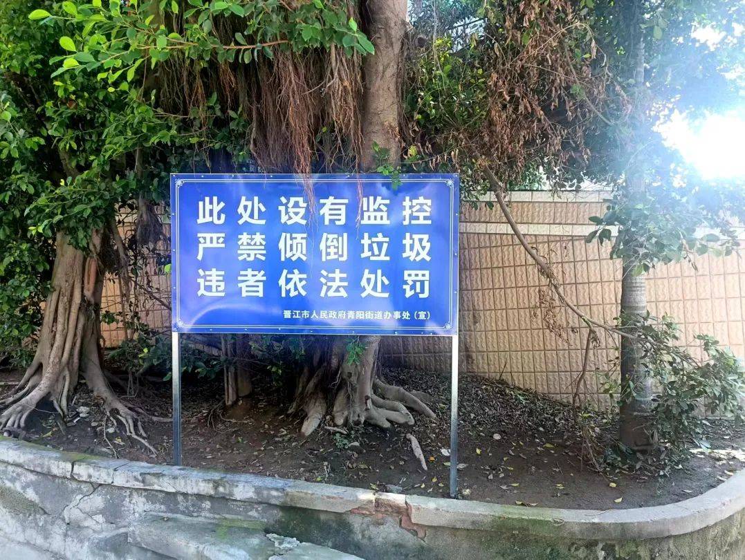 青阳街道持续整治乱倒垃圾现象,加强后续监管
