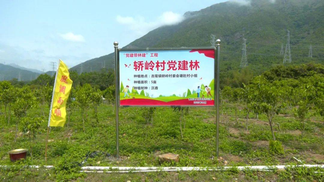 【乡村振兴】看!惠东吉隆镇各村大变样