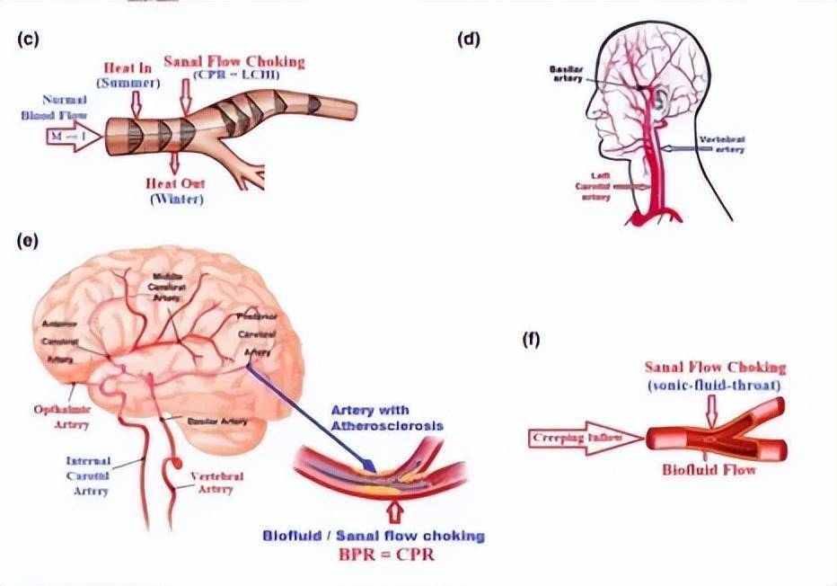 不服接连被撤3篇论文,高校教授将起诉出版商