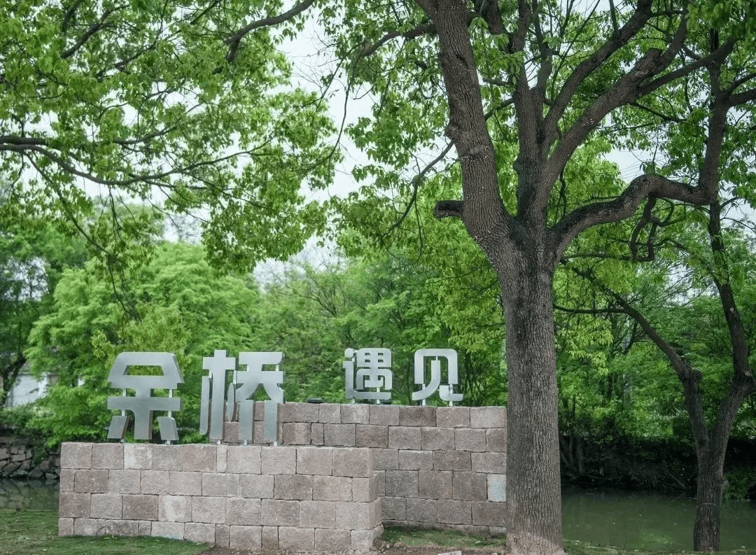 苍南大道(人民大道-玉苍路)获评省级"街容示范街".