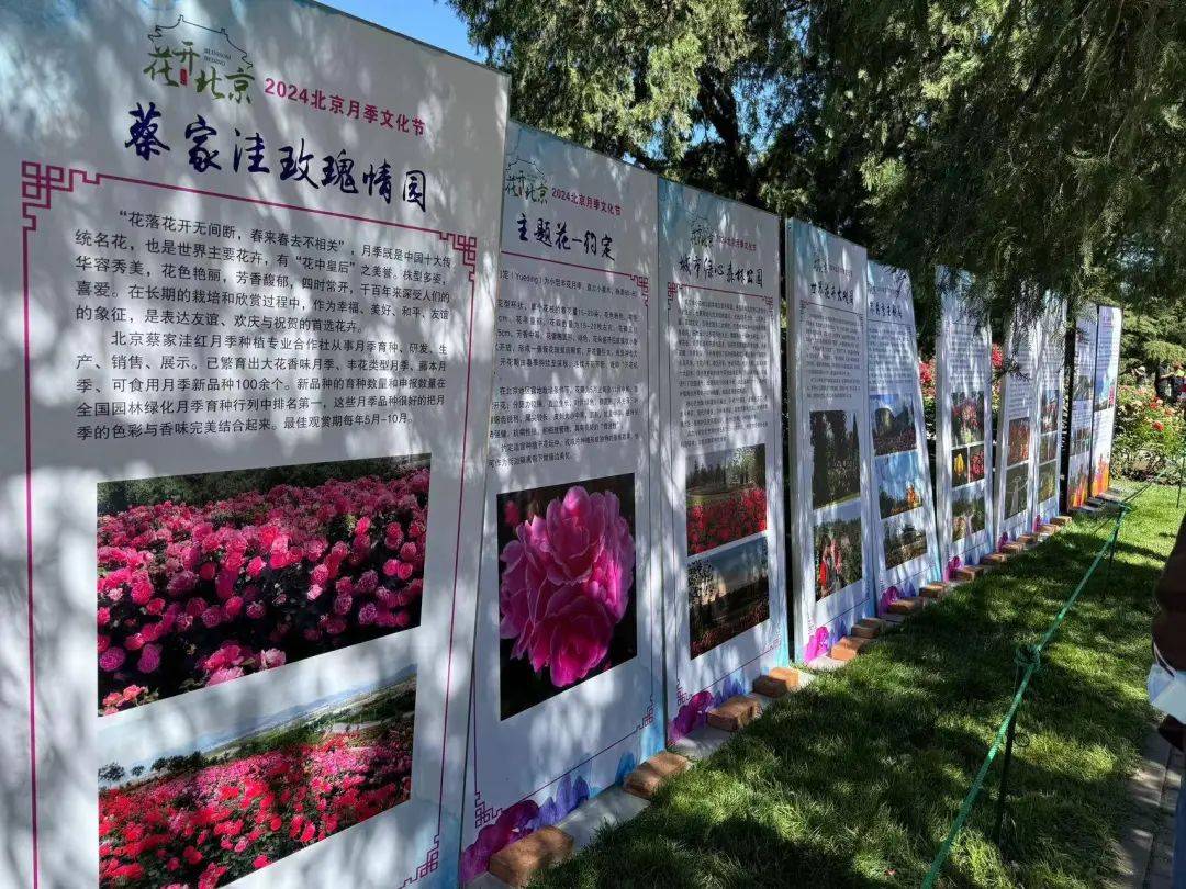 线下同样精彩依托"北京花卉"产业链数字平台推出"月季vr云花展",实现