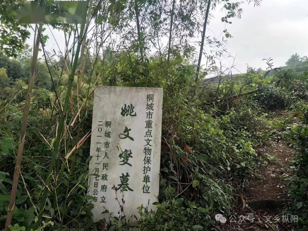 谢小龙|黄燕有座画家坟