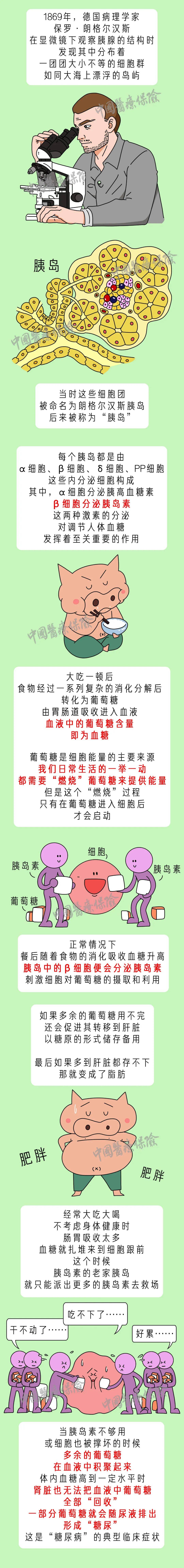 医保讲堂 | "胰岛"是个什么岛?