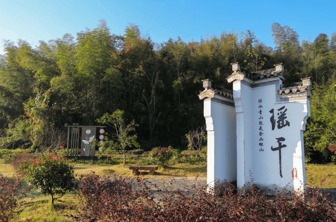 【乡村运营】屯溪区奕棋镇:笃行实干绘新景 谱写农业农村高质量发展新