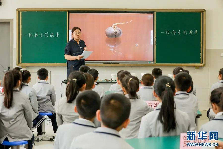 【云南故事·国际家庭日特别策划】在绿水青山间,写一首名为"家"的诗