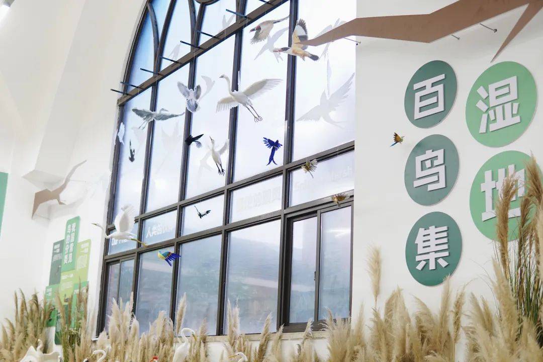 馆校共建,科普"童"行!西湖首家校园鸟类博物馆开馆