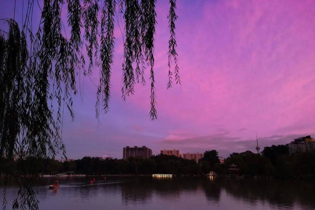 紫色的霞 戴云伟摄不同成分和含量下所形成霞的颜色差异很大,尤其是