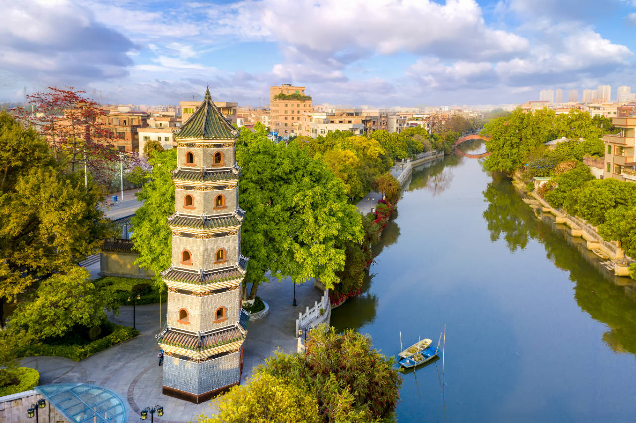 "一把手"谈"百千万工程"|望牛墩农林水务局:描绘乡