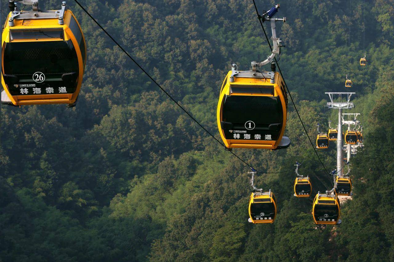 1.入园需乘坐"竹野索道",下索道之后再换乘观光车到达大熊猫馆.