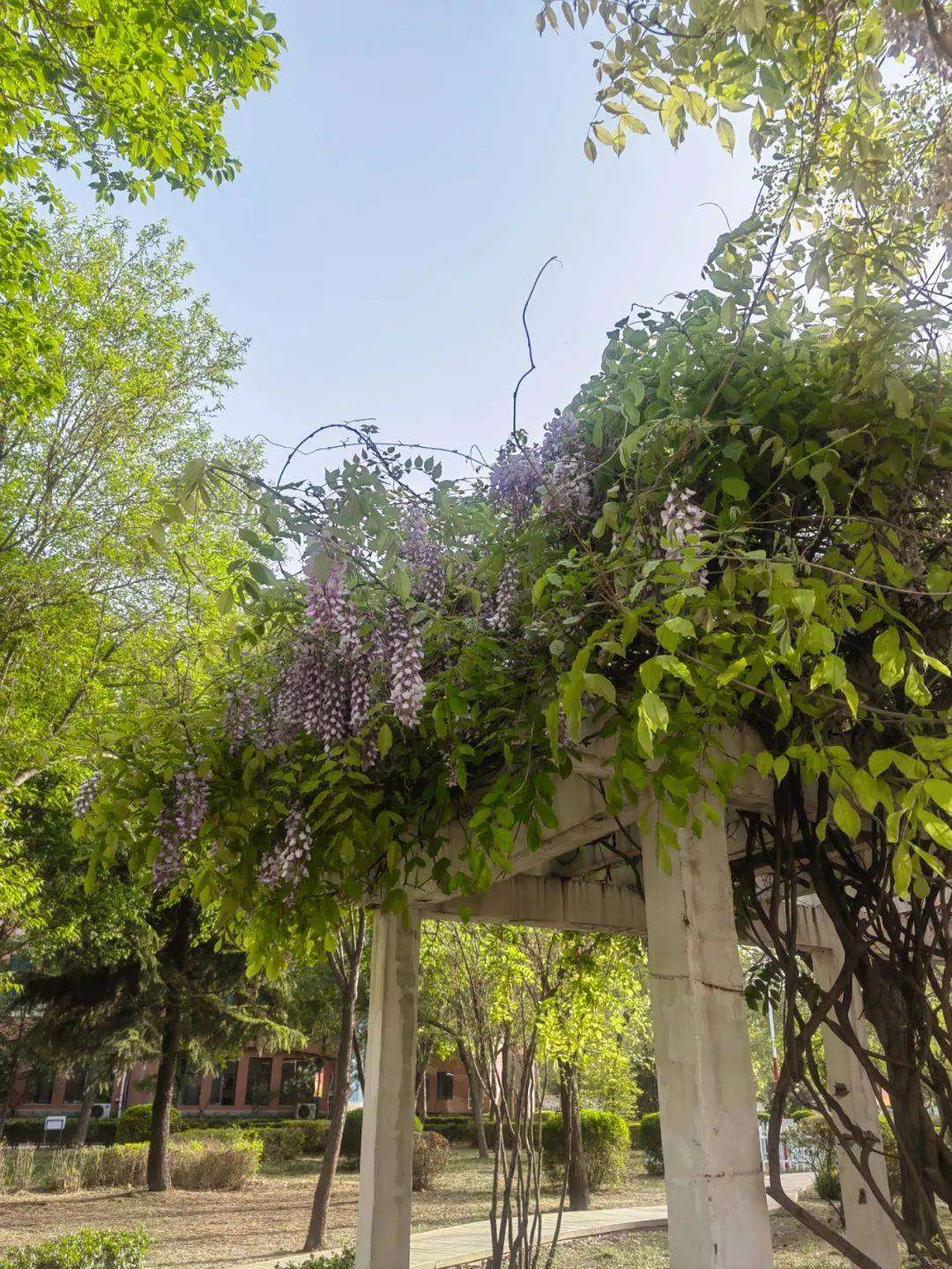 光影之中的赏心美景请欣赏河北保定外国语学校教职工摄影作品