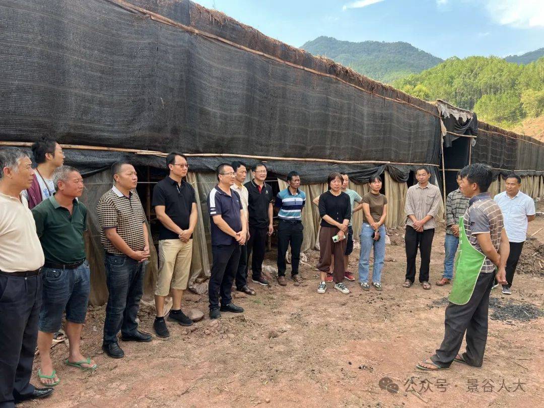 考察"取经"促振兴 —— 凤山镇组织人大代表考察学习特色产业发展