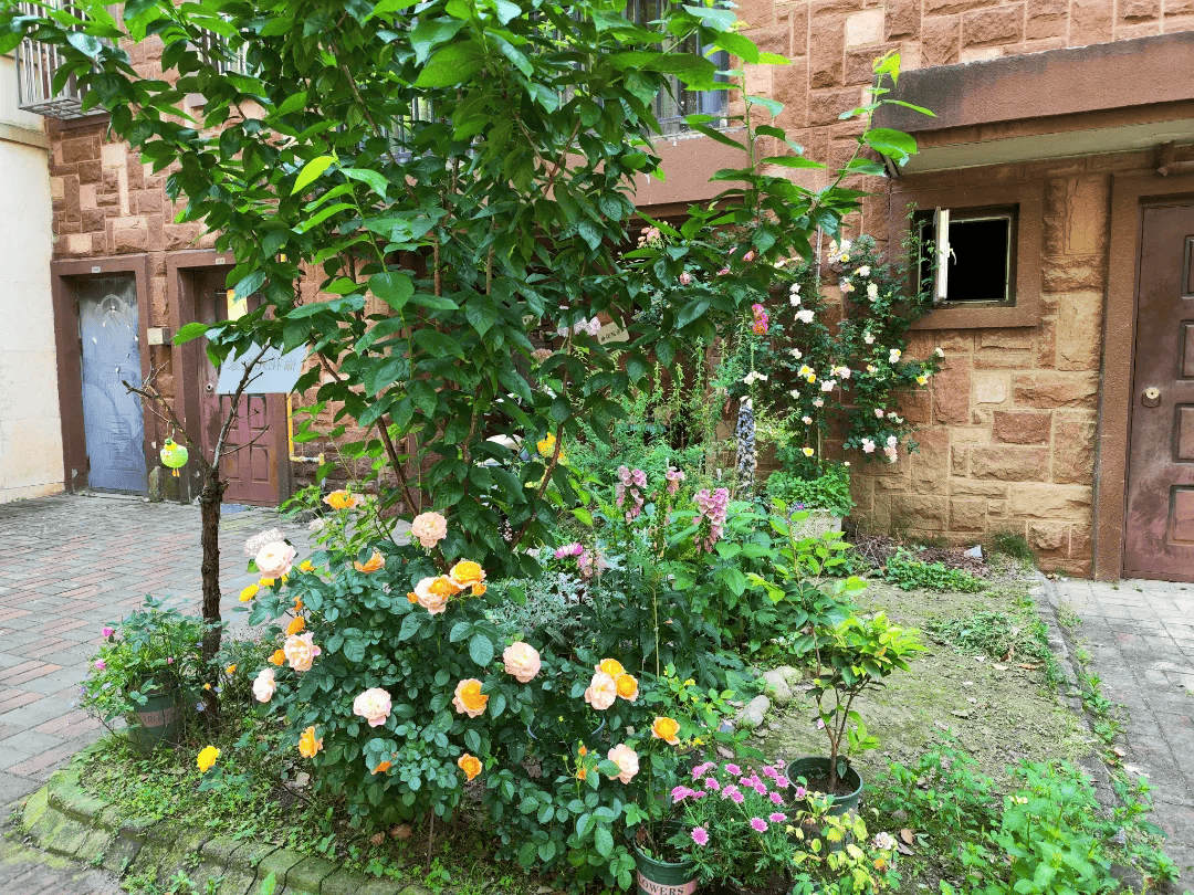 仪征这些小区突然就火了._花海_花园_市民