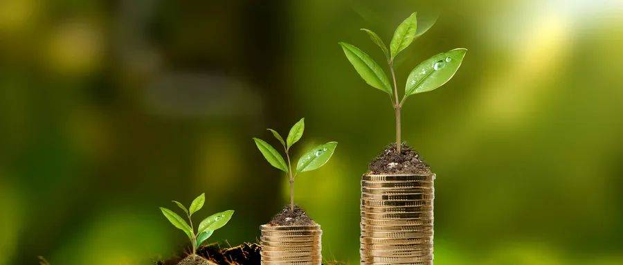 "粮巴巴"完成亿元级规模融资,助力农牧产业数字化升级