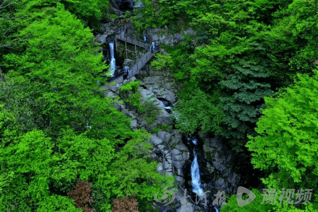 河南多景區(qū)免票！就在本周末→