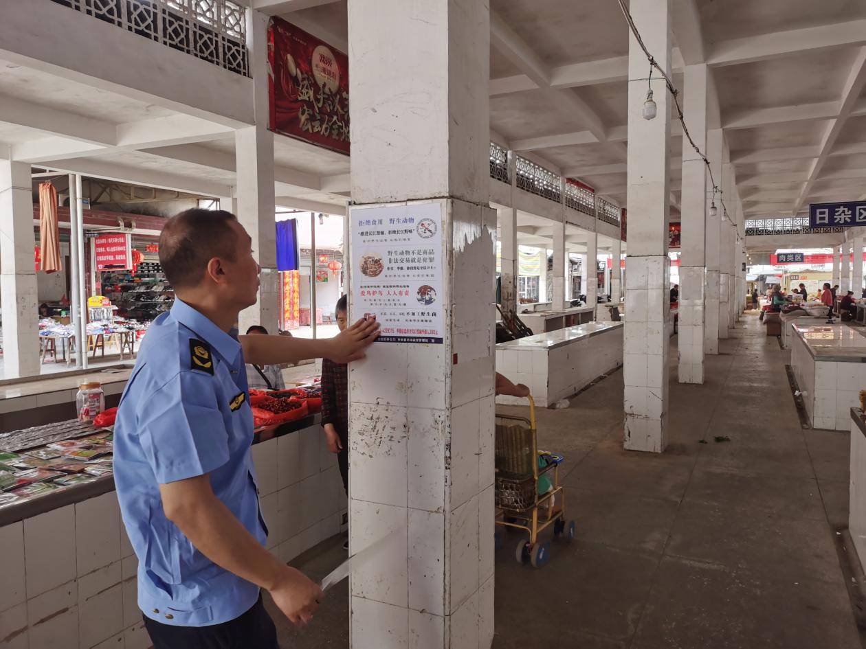 东安县大庙口镇开展野生动物执法检查和宣传行动