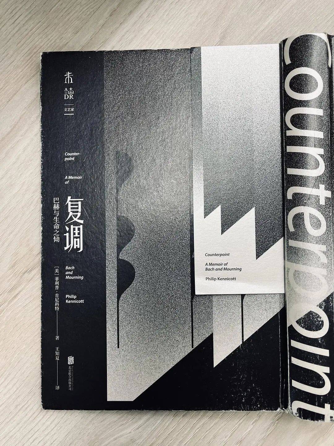 死亡的阴影无处不在,它降临时带来的痛苦,任何音乐,任何艺术都不足以
