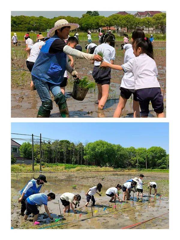 青春作伴一起high——淞滨路小学2023学年第二学期课外实践活动侧记