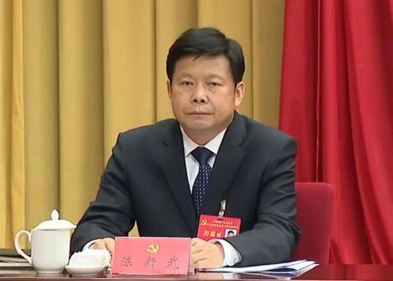 这一消息显示,重庆市委常委,秘书长陈新武已担任重庆市政府党组副书记