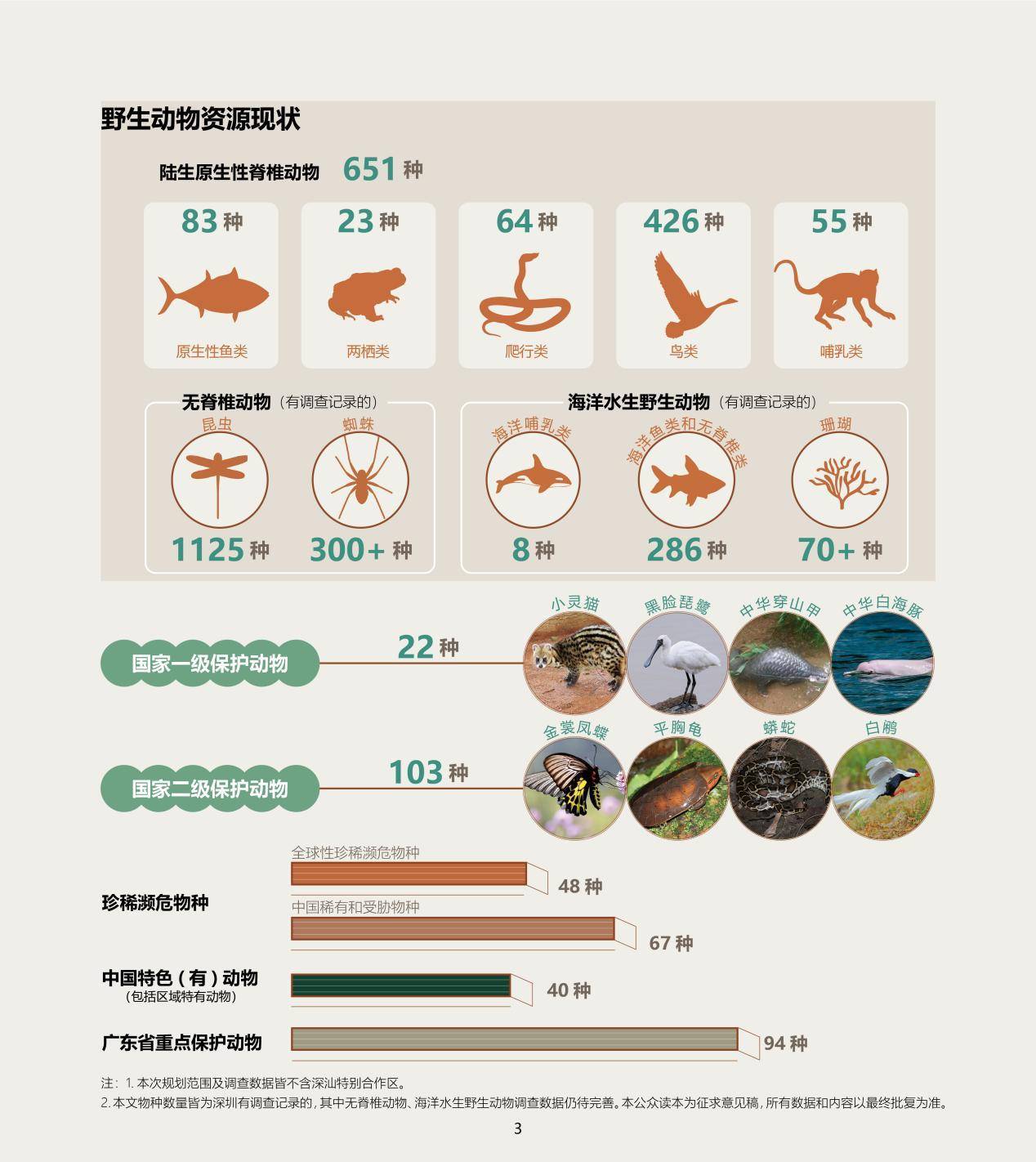 中国商报网 :新澳2024年精准一肖一码-城市：建设制造强市创新城市品质城市  第2张