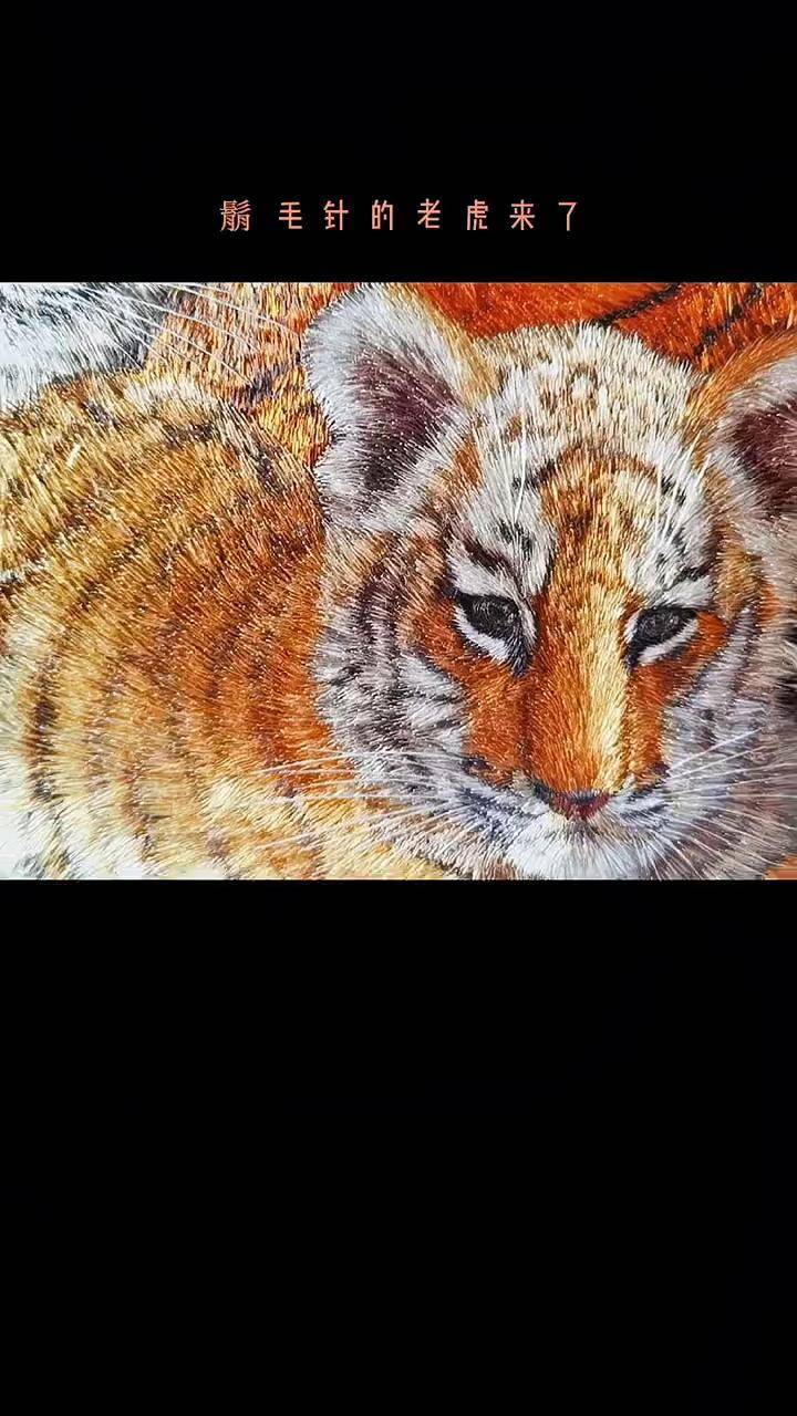 虎虎生威,虎年得犬子非遗文化 湘绣 刺绣 虎