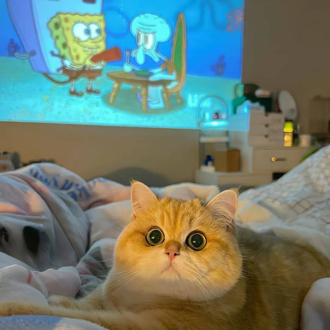 背景｜不允许你没有好看的背景图用_搜狐网, image size:1080x1080