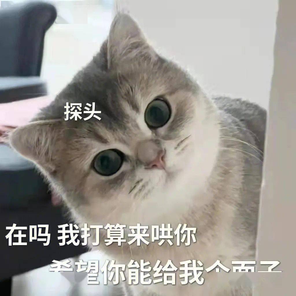 口语479期丨"有面子"英语怎么说?