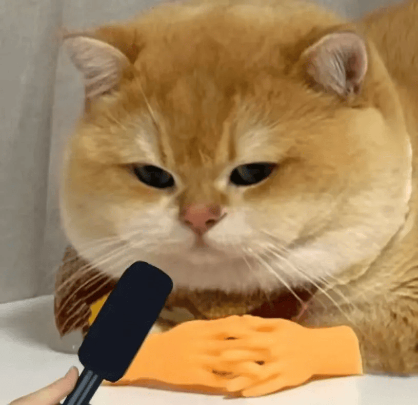 它来加分,简直可以说是学术界的钥匙,想开哪里的大门就开哪里的大门台