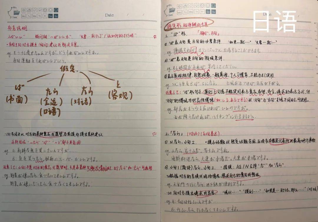 学风建设进行时 | "学无止境,笔耕不息"之学霸笔记巡展(第二期)