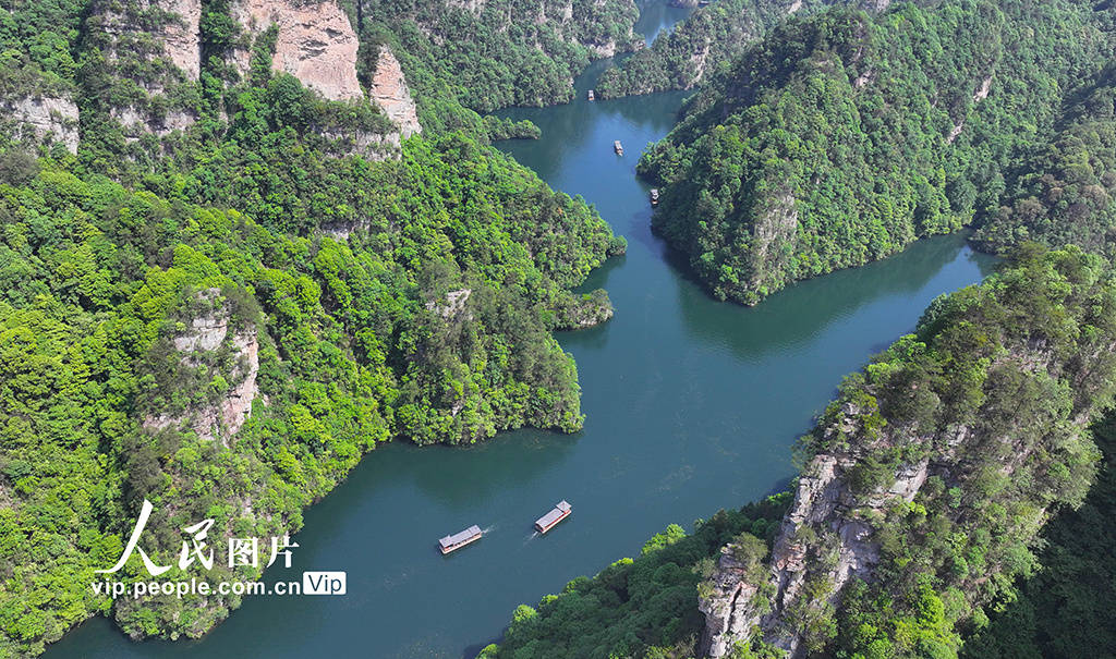 湖南张家界:夏日旅游升温_吴勇兵_游客_景区