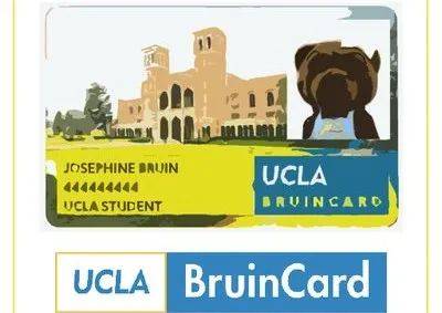 “我在UCLA第一个学期被虐成狗”