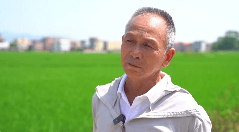 港北区:科技赋能 早稻田间管理更智慧