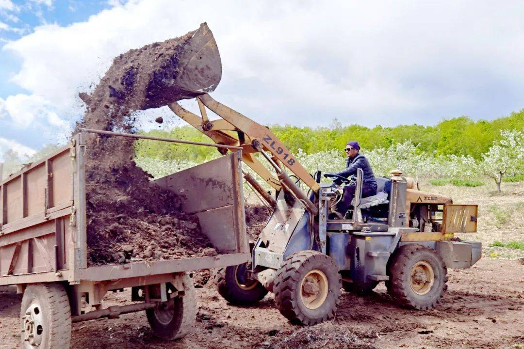 复兴镇:荒山治理结硕果生态经济双丰收