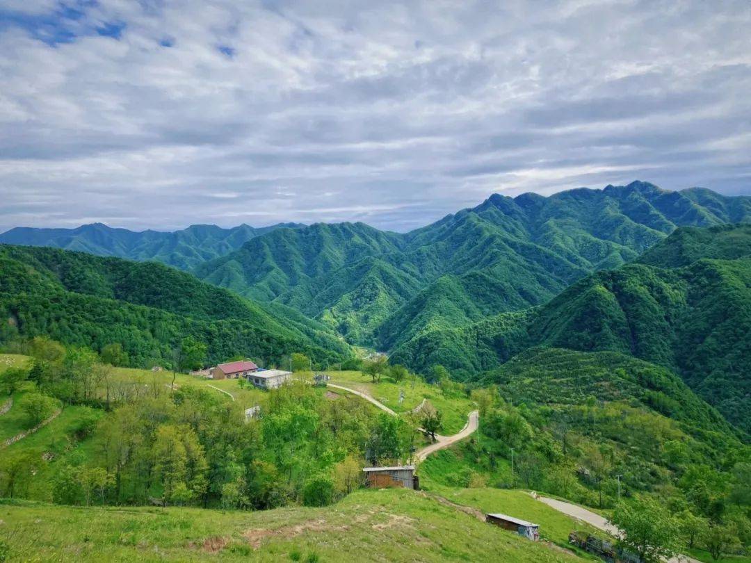 秦岭库峪草甸图片