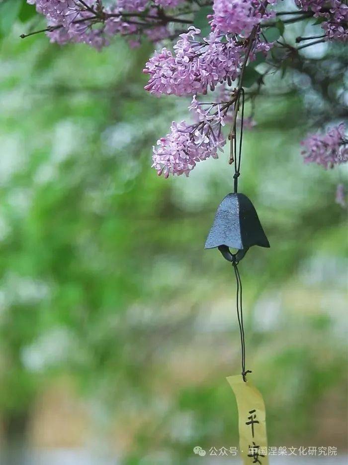 每个黎明开启的时刻,都值得好好珍惜