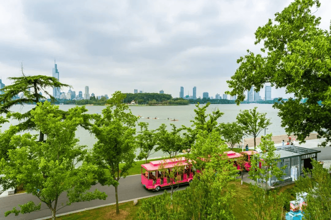 跟着赛事去旅行丨"艇"进玄武湖,玩转"体育 "!_运动_赛艇_南京