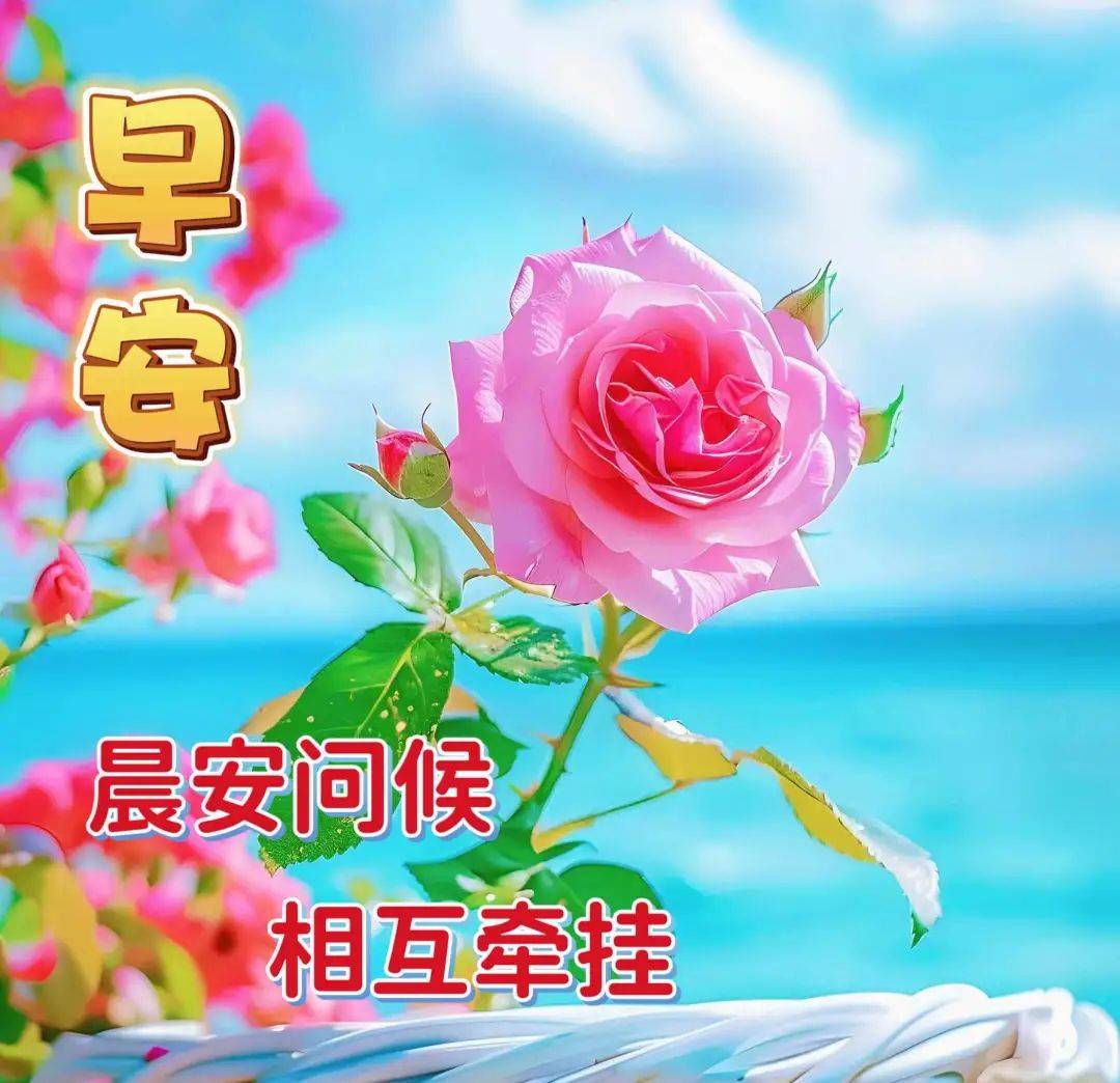 早上好最新祝福语图片