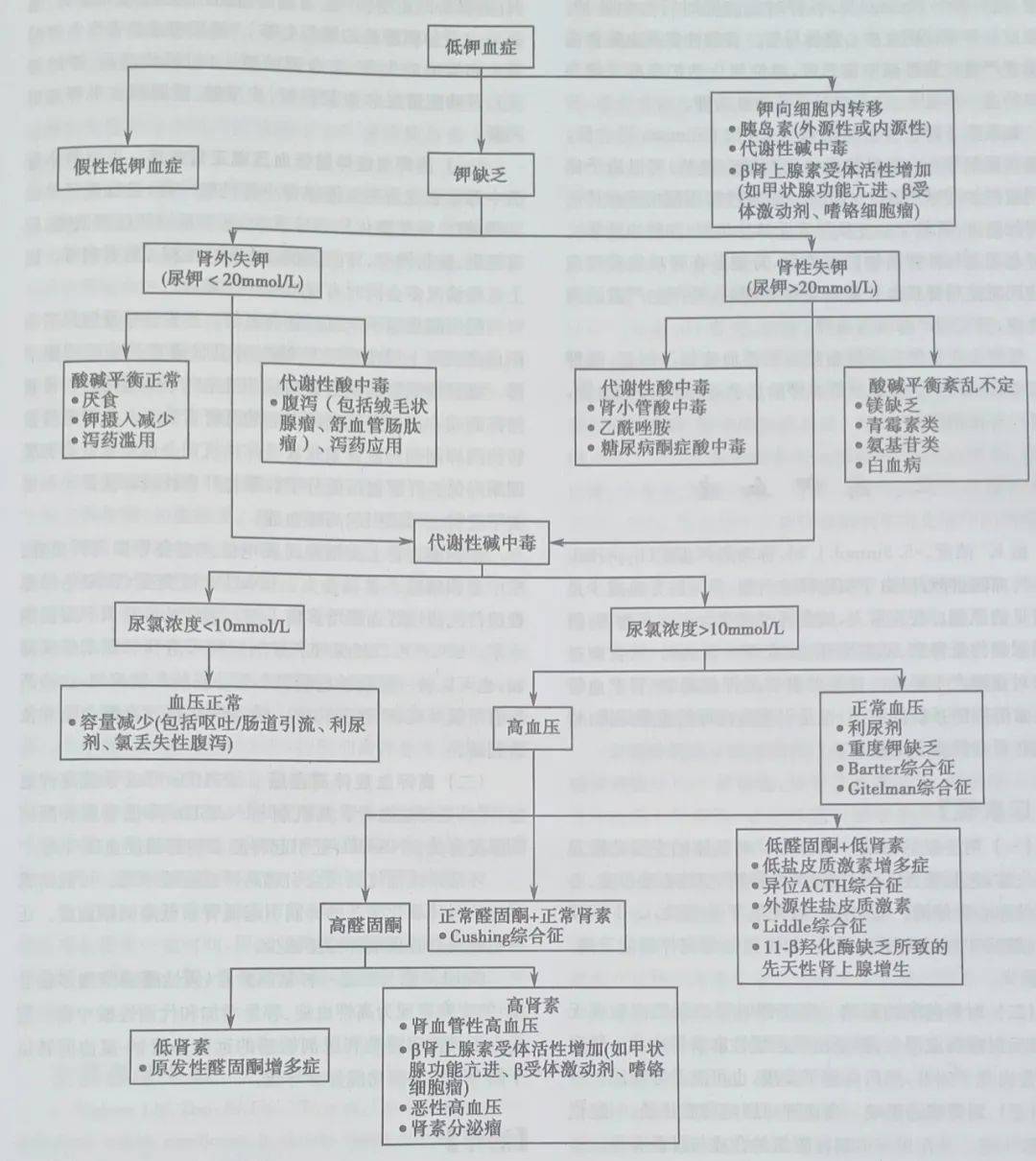1 g 氯化钾可以使血钾升高多少 mmol/L?_静脉_患者_严重