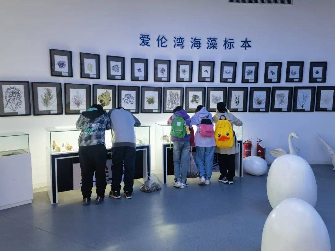 【成长·研学】探秘海洋,研学成长——市蜊江小学四一班开展"一桌最