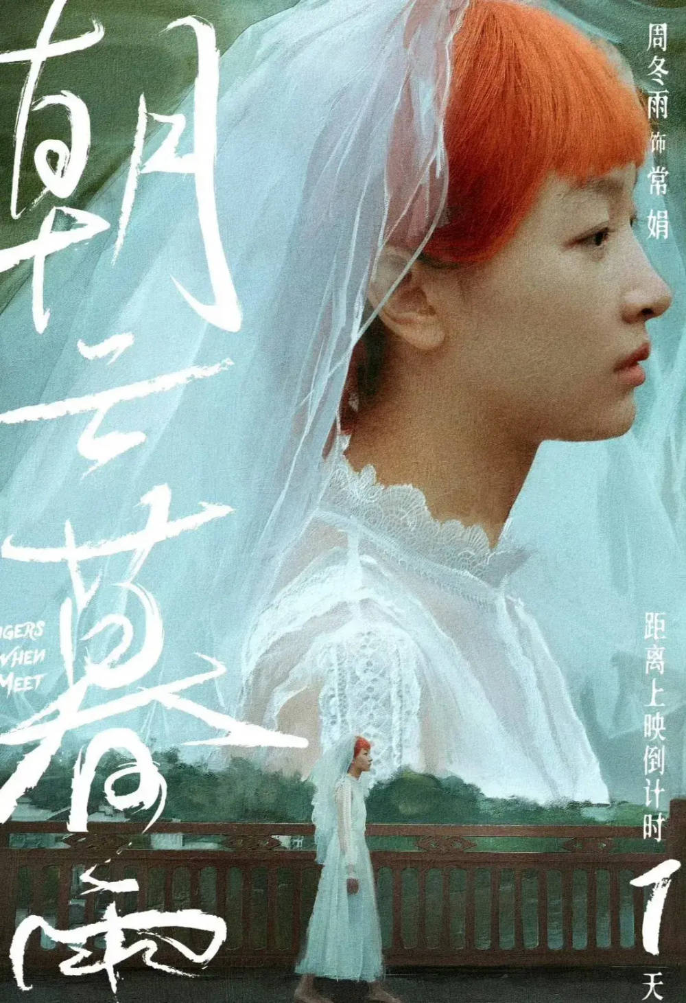 灰,四处的灰,翻不过的墙,油污浸满的厨房,走不到头的路,老旧的房子